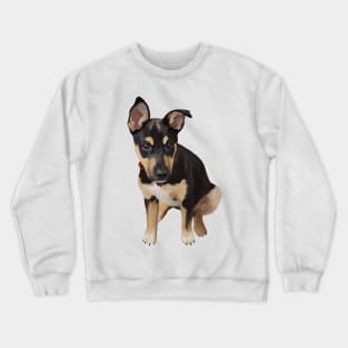 Shepherd Mix Puppy Crewneck Sweatshirt